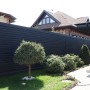 IMG_0228_1
